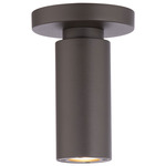 Caliber Outdoor Ceiling Light - Bronze