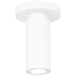 Caliber Outdoor Ceiling Light - White