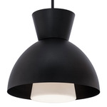 Carafe Pendant - Black / White