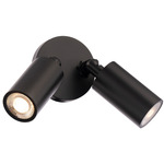 Cylinder Adjustable Double Outdoor Wall Light - Black