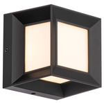 Argo Outdoor Wall / Ceiling Light - Black / White