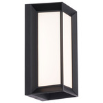 Argo Outdoor Wall / Ceiling Light - Black / White