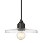 Paloma Pendant - Matte Black / Clear