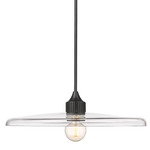 Paloma Pendant - Matte Black / Clear
