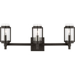 Flynn Bathroom Vanity Light - Aged Iron / Clear