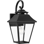 Galena Outdoor Wall Sconce - Textured Black / Clear