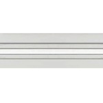 Monorail  - Satin Nickel / Clear Insulator