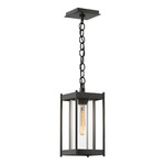 Cela Outdoor Pendant - Coastal Oil Rubbed Bronze / Clear