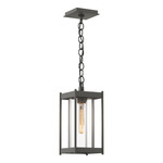Cela Outdoor Pendant - Coastal Natural Iron / Clear