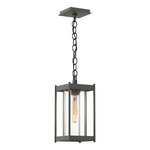 Cela Outdoor Pendant - Coastal Natural Iron / Clear