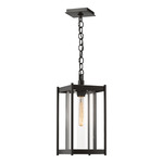 Cela Outdoor Pendant - Coastal Oil Rubbed Bronze / Clear