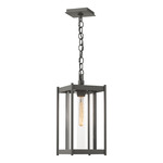 Cela Outdoor Pendant - Coastal Natural Iron / Clear