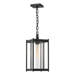 Cela Outdoor Pendant - Coastal Black / Clear