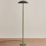 Arundel Floor Lamp - Reed Green / Black Shade