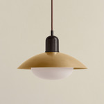Brass Arundel Mushroom Pendant - Blackened Brass / Brass Shade