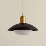 Brass Arundel Mushroom Pendant - Brass / Blackened Brass Shade