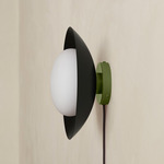 Arundel Mushroom Surface Mount - Reed Green Canopy / Black Shade