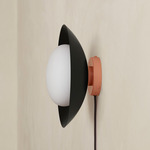 Arundel Mushroom Surface Mount - Peach Canopy / Black Shade