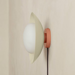 Arundel Mushroom Surface Mount - Peach Canopy / Bone Shade