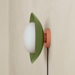 Arundel Mushroom Surface Mount - Peach Canopy / Reed Green Shade