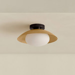 Brass Arundel Mushroom Surface Mount - Blackened Brass Canopy / Brass Shade