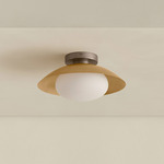 Brass Arundel Mushroom Surface Mount - Pewter Canopy / Brass Shade