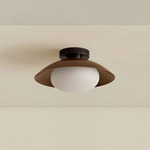Brass Arundel Mushroom Surface Mount - Blackened Brass Canopy / Patina Brass Shade