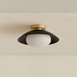 Brass Arundel Mushroom Surface Mount - Brass Canopy / Blackened Brass Shade