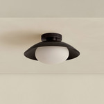 Brass Arundel Mushroom Surface Mount - Blackened Brass Canopy / Blackened Brass Shade