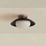 Brass Arundel Mushroom Surface Mount - Pewter Canopy / Blackened Brass Shade