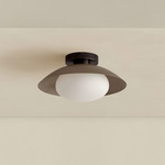 Brass Arundel Mushroom Surface Mount - Blackened Brass Canopy / Pewter Shade