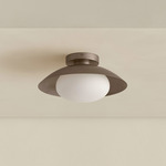 Brass Arundel Mushroom Surface Mount - Pewter Canopy / Pewter Shade