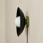 Arundel Orb Surface Mount - Reed Green Canopy / Black Shade