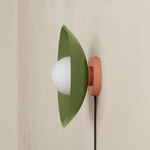 Arundel Orb Surface Mount - Peach Canopy / Reed Green Shade