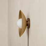 Brass Arundel Orb Surface Mount - Patina Brass Canopy / Brass Shade