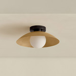 Brass Arundel Orb Surface Mount - Blackened Brass Canopy / Brass Shade