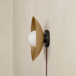 Brass Arundel Orb Surface Mount - Blackened Brass Canopy / Brass Shade