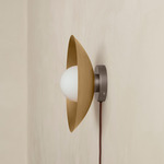 Brass Arundel Orb Surface Mount - Pewter Canopy / Brass Shade