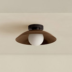 Brass Arundel Orb Surface Mount - Blackened Brass Canopy / Patina Brass Shade