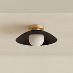 Brass Arundel Orb Surface Mount - Brass Canopy / Blackened Brass Shade