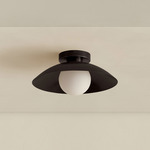 Brass Arundel Orb Surface Mount - Blackened Brass Canopy / Blackened Brass Shade