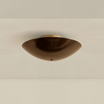 Brass Arundel Surface Mount - Brass Canopy / Patina Brass Shade