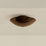 Brass Arundel Surface Mount - Patina Brass Canopy / Patina Brass Shade