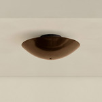 Brass Arundel Surface Mount - Blackened Brass Canopy / Patina Brass Shade