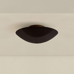 Brass Arundel Surface Mount - Patina Brass Canopy / Blackened Brass Shade