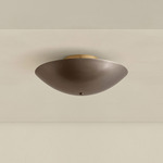 Brass Arundel Surface Mount - Brass Canopy / Pewter Shade