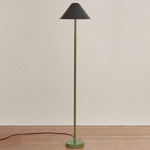 Eave Floor Lamp - Reed Green / Black Shade