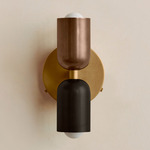 Up Down Wall Sconce - Brass Canopy / Patina Brass Upper Shade