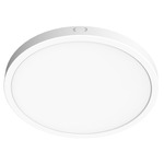 LED Color-Select Ceiling Flush Light - White