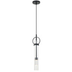 EVOLV Chloe Pendant - Matte Black / Clear